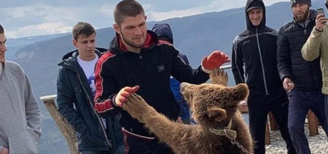PETA sugiere a UFC que despida a Khabib por maltrato animal